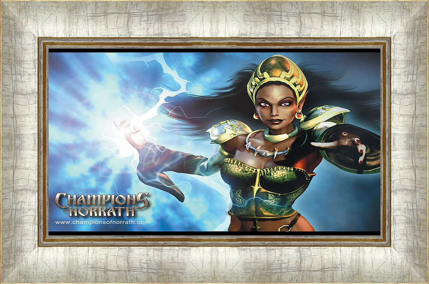 Картина в раме - Champions Of Norrath
