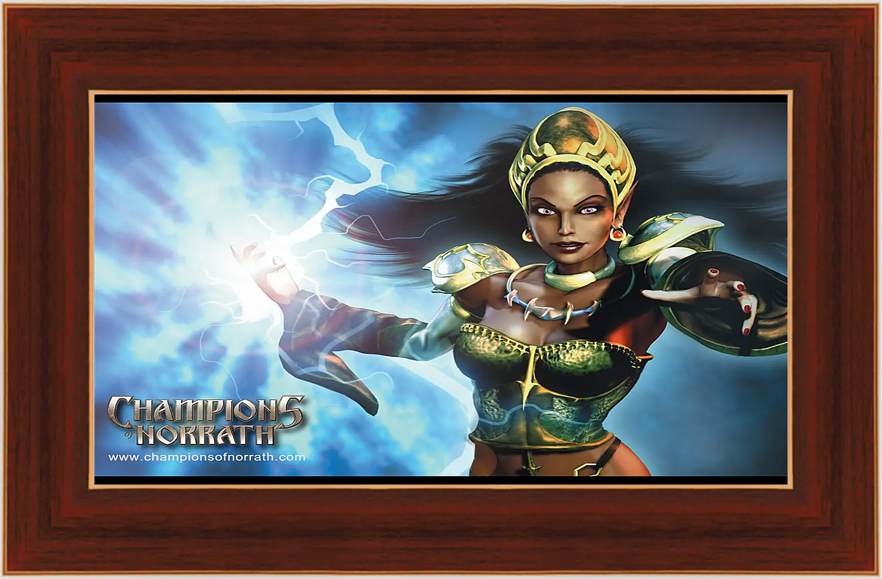 Картина в раме - Champions Of Norrath
