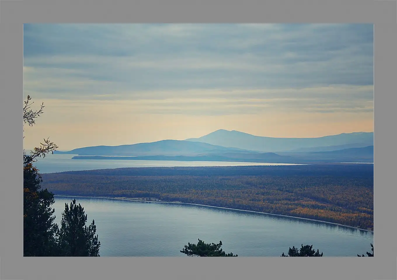 Картина в раме - Лес на фоне гор. Байкал