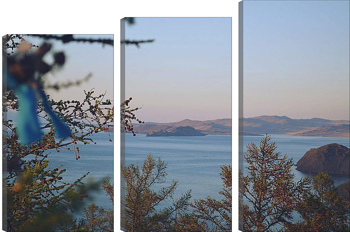 Модульная картина - Вид на озеро через ветки. Байкал