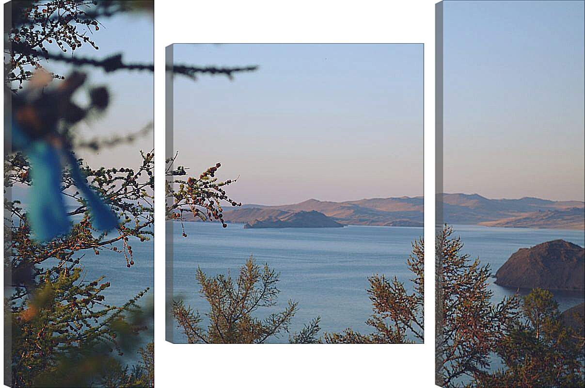 Модульная картина - Вид на озеро через ветки. Байкал