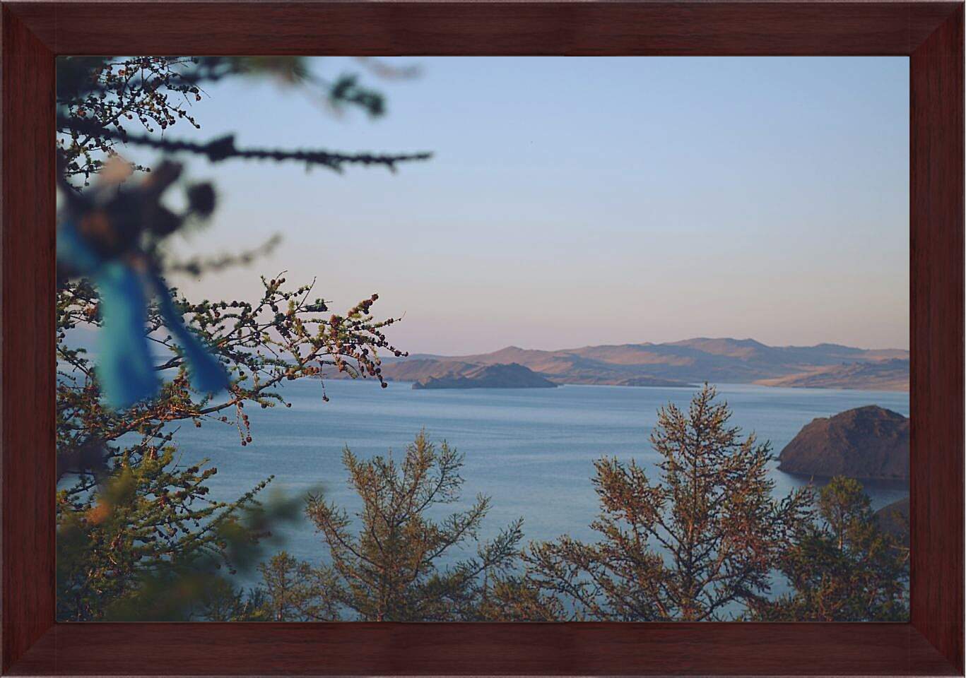 Картина в раме - Вид на озеро через ветки. Байкал