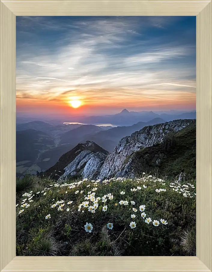 Картина в раме - Закат и цветы