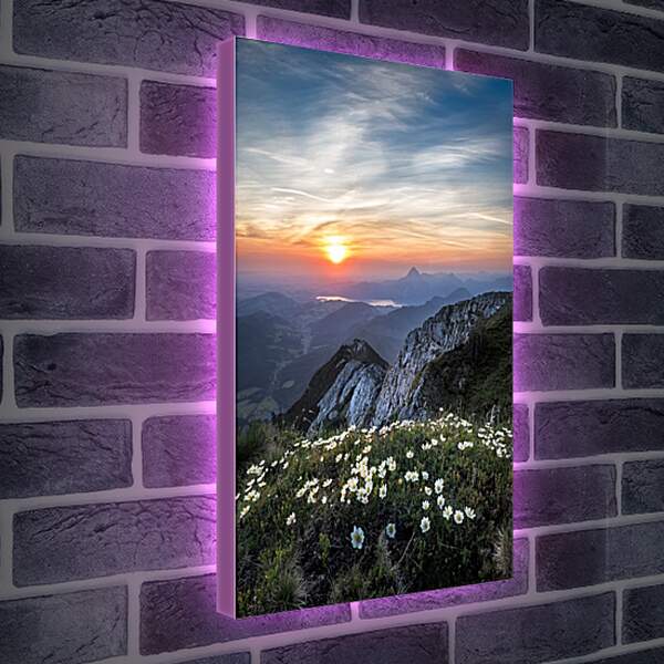 Лайтбокс световая панель - Закат и цветы