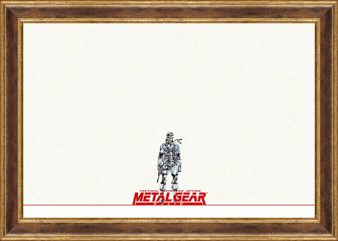 Картина в раме - Metal Gear