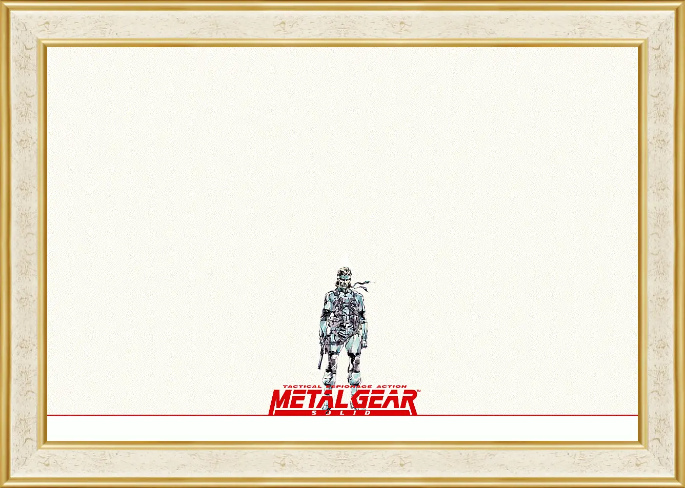 Картина в раме - Metal Gear