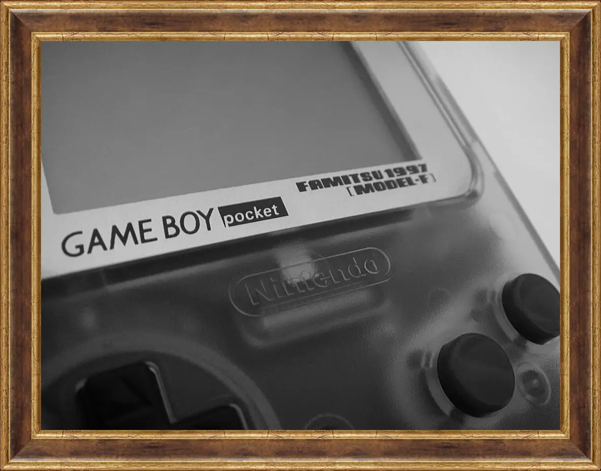 Картина в раме - Game Boy
