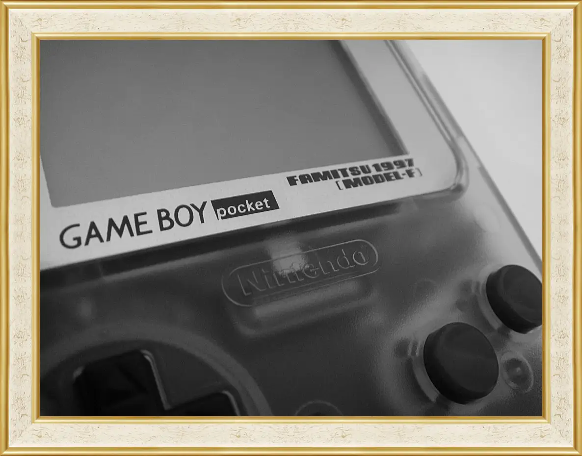 Картина в раме - Game Boy
