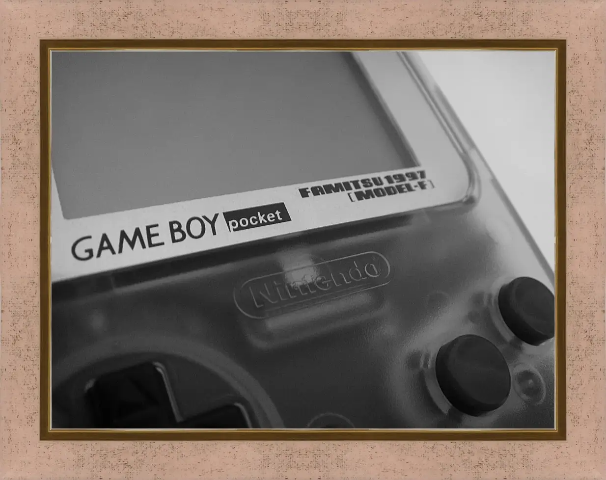 Картина в раме - Game Boy
