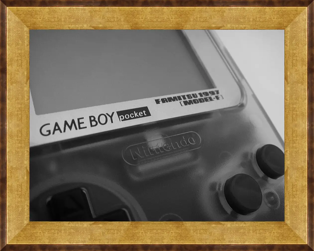 Картина в раме - Game Boy
