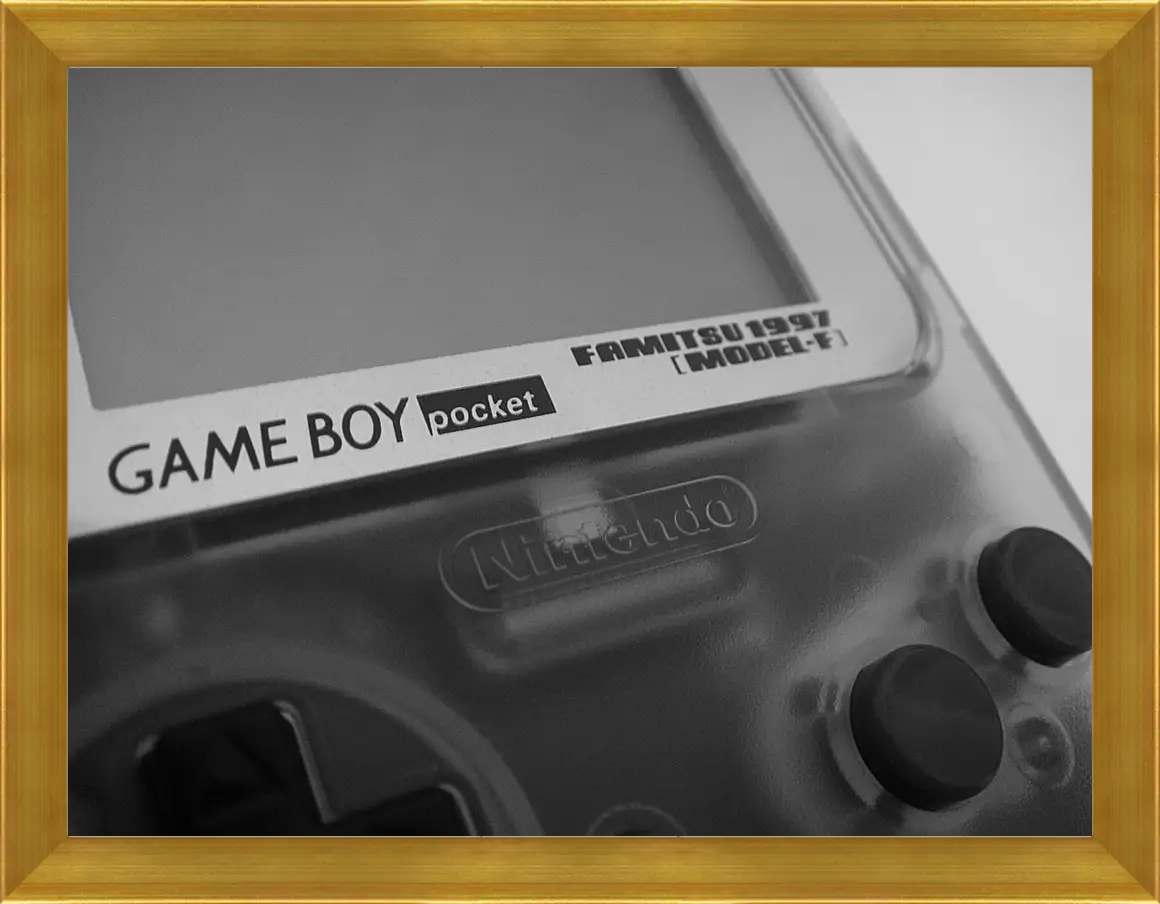 Картина в раме - Game Boy
