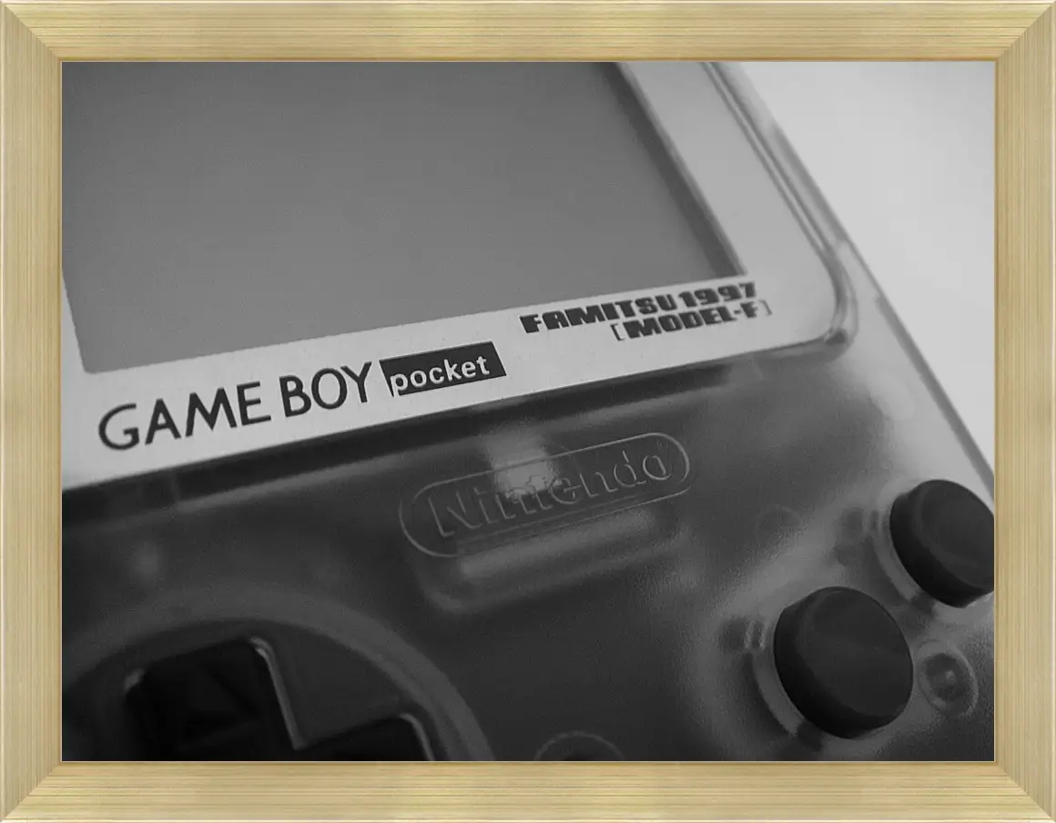 Картина в раме - Game Boy
