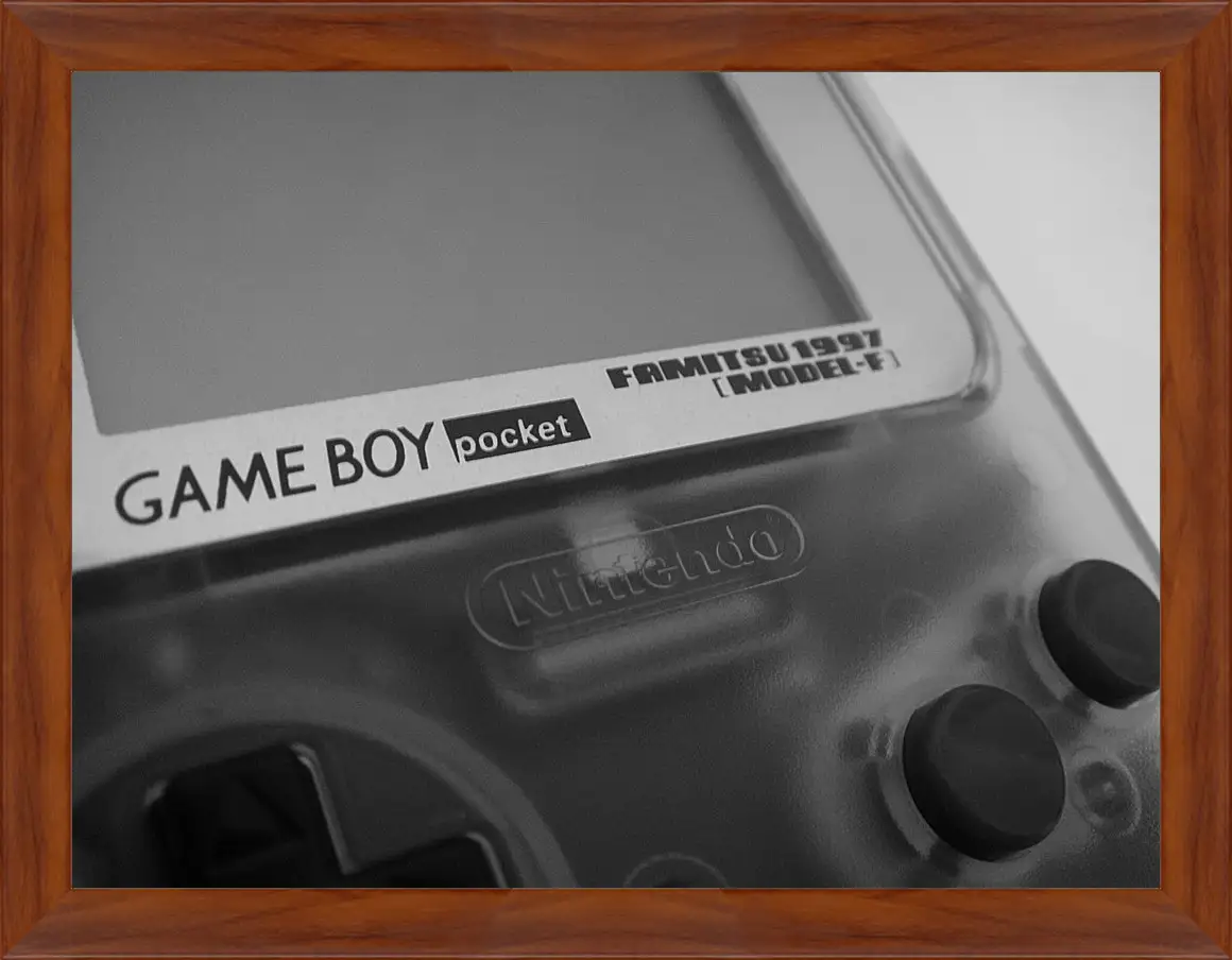 Картина в раме - Game Boy
