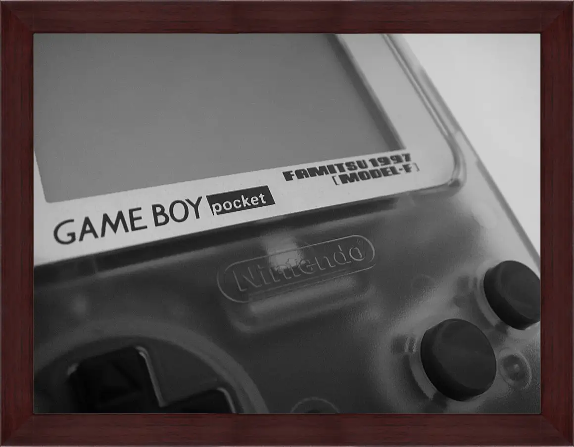 Картина в раме - Game Boy
