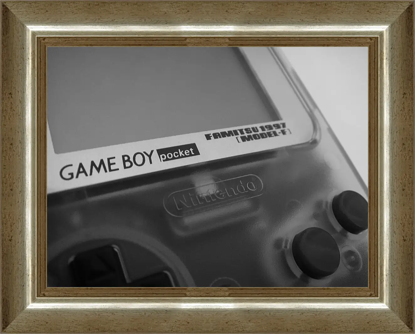 Картина в раме - Game Boy
