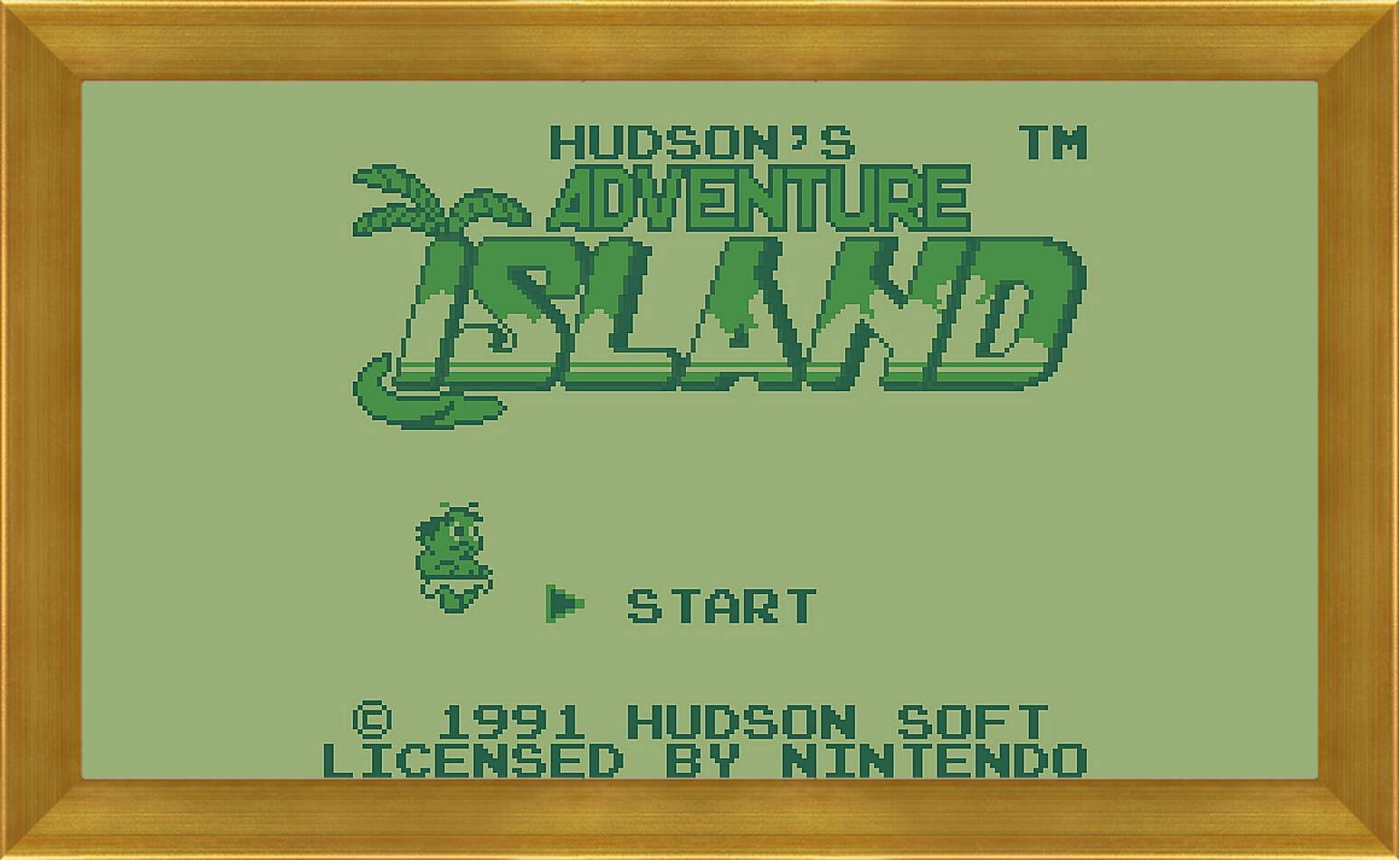 Картина в раме - Adventure Island
