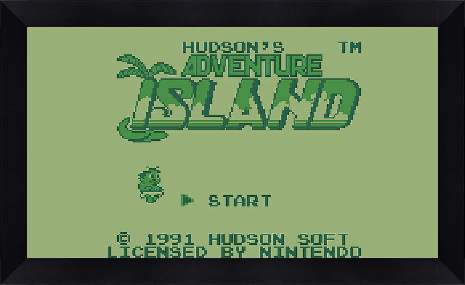 Картина в раме - Adventure Island
