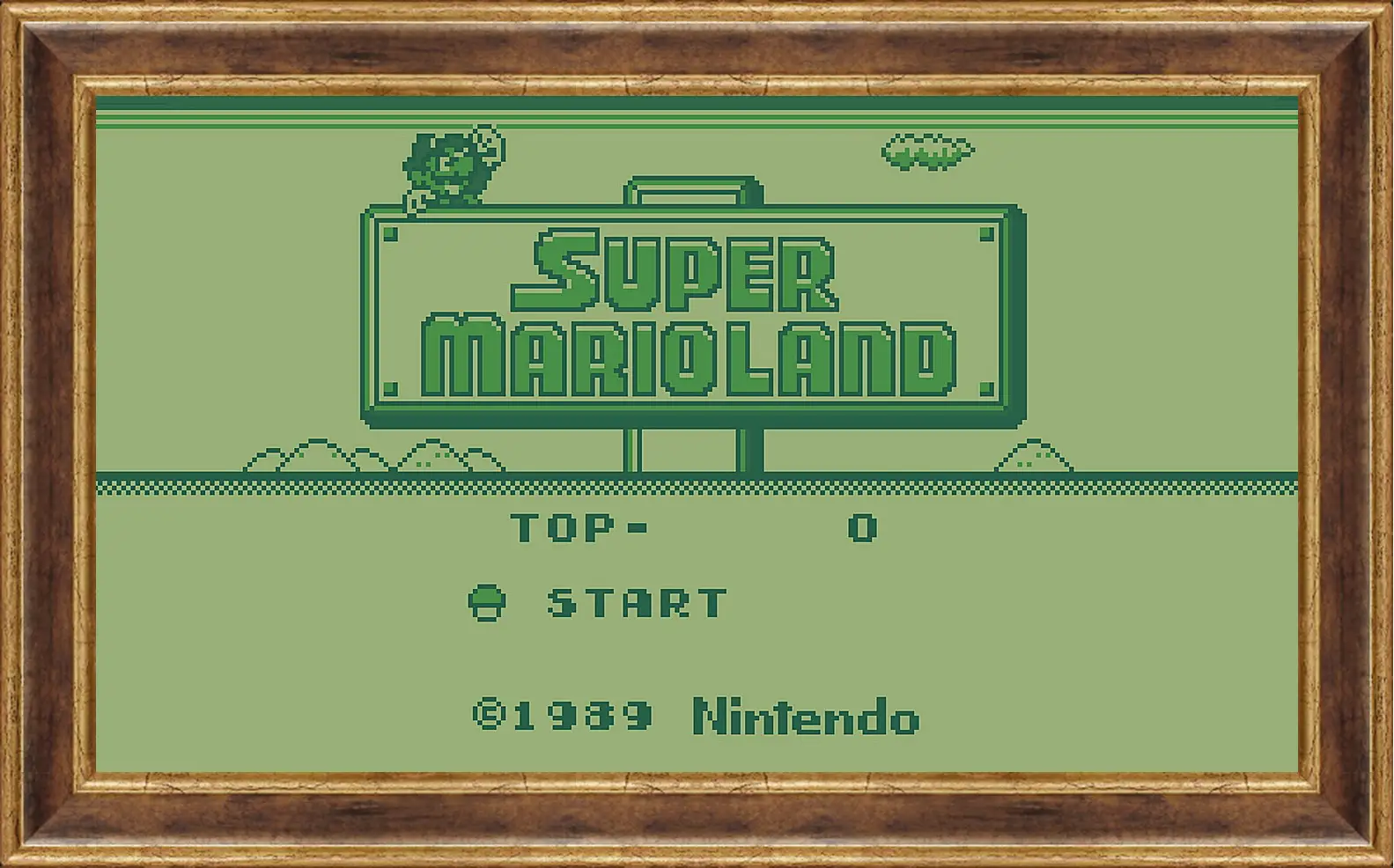 Картина в раме - Super Mario Land
