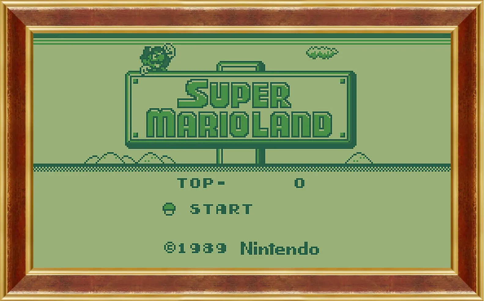 Картина в раме - Super Mario Land
