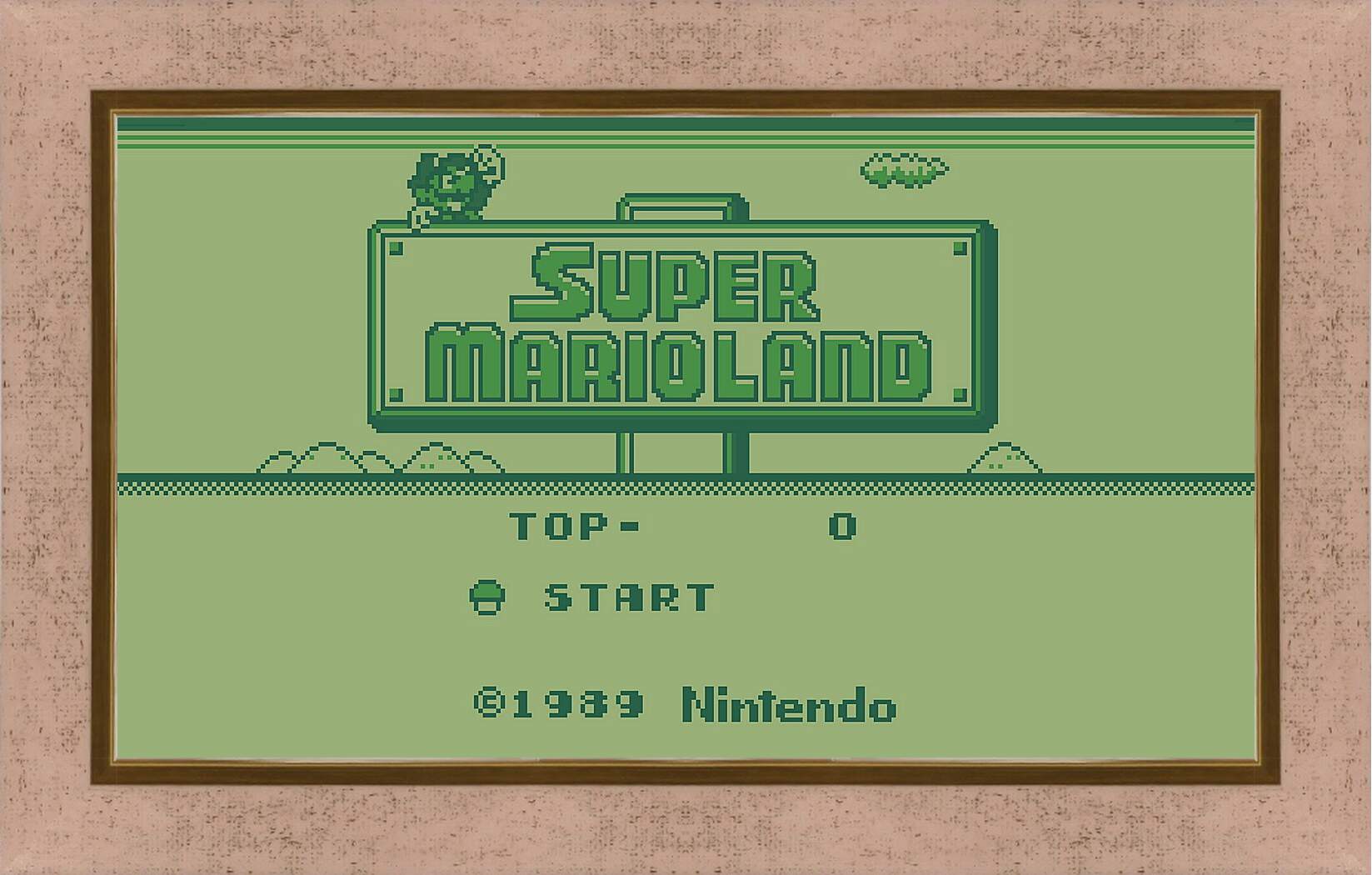 Картина в раме - Super Mario Land

