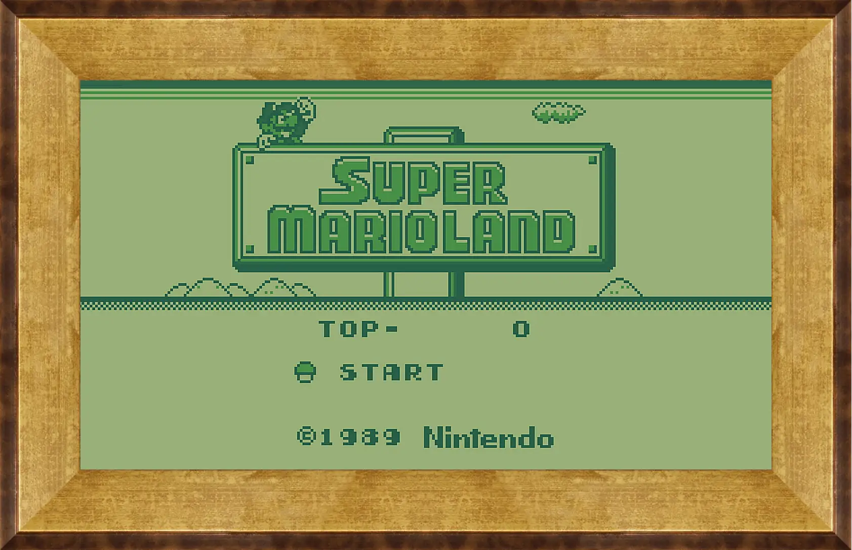 Картина в раме - Super Mario Land
