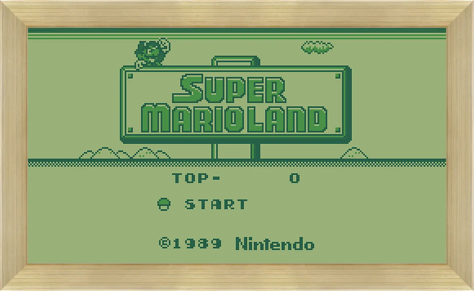 Картина в раме - Super Mario Land
