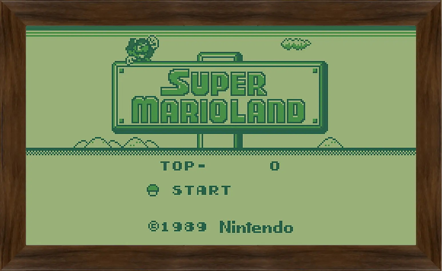 Картина в раме - Super Mario Land
