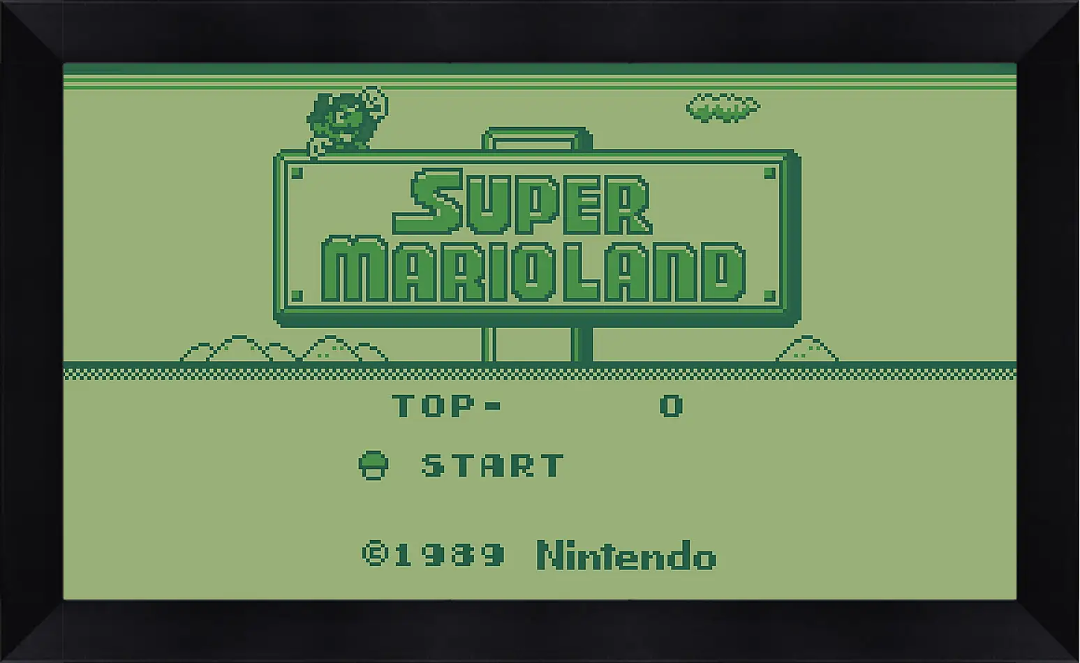 Картина в раме - Super Mario Land
