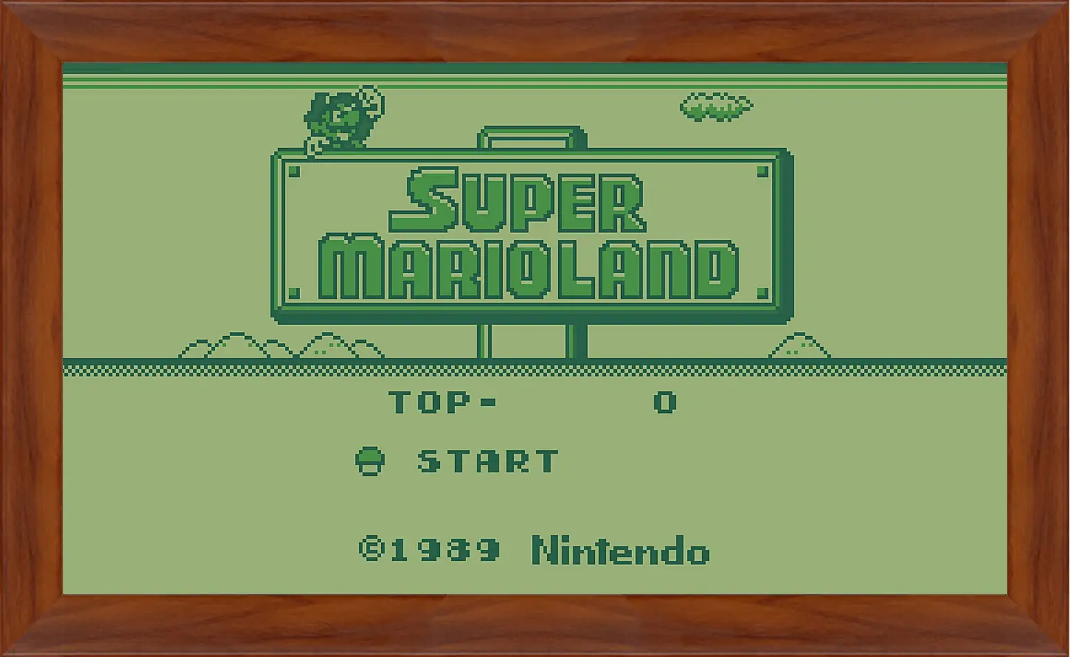 Картина в раме - Super Mario Land
