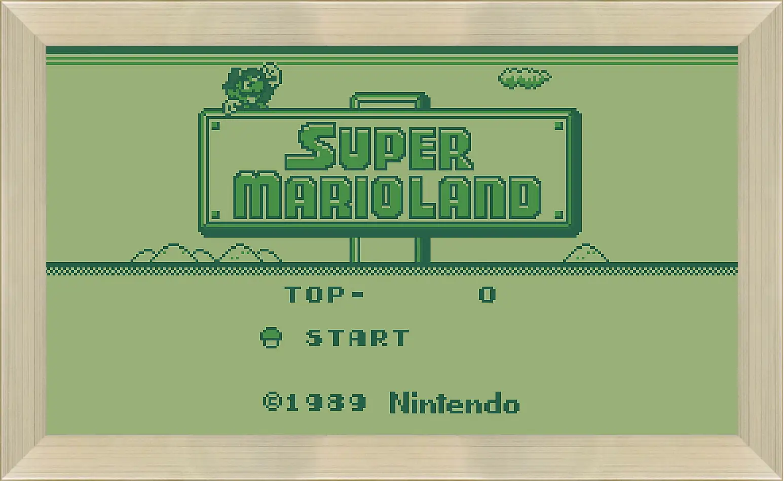 Картина в раме - Super Mario Land
