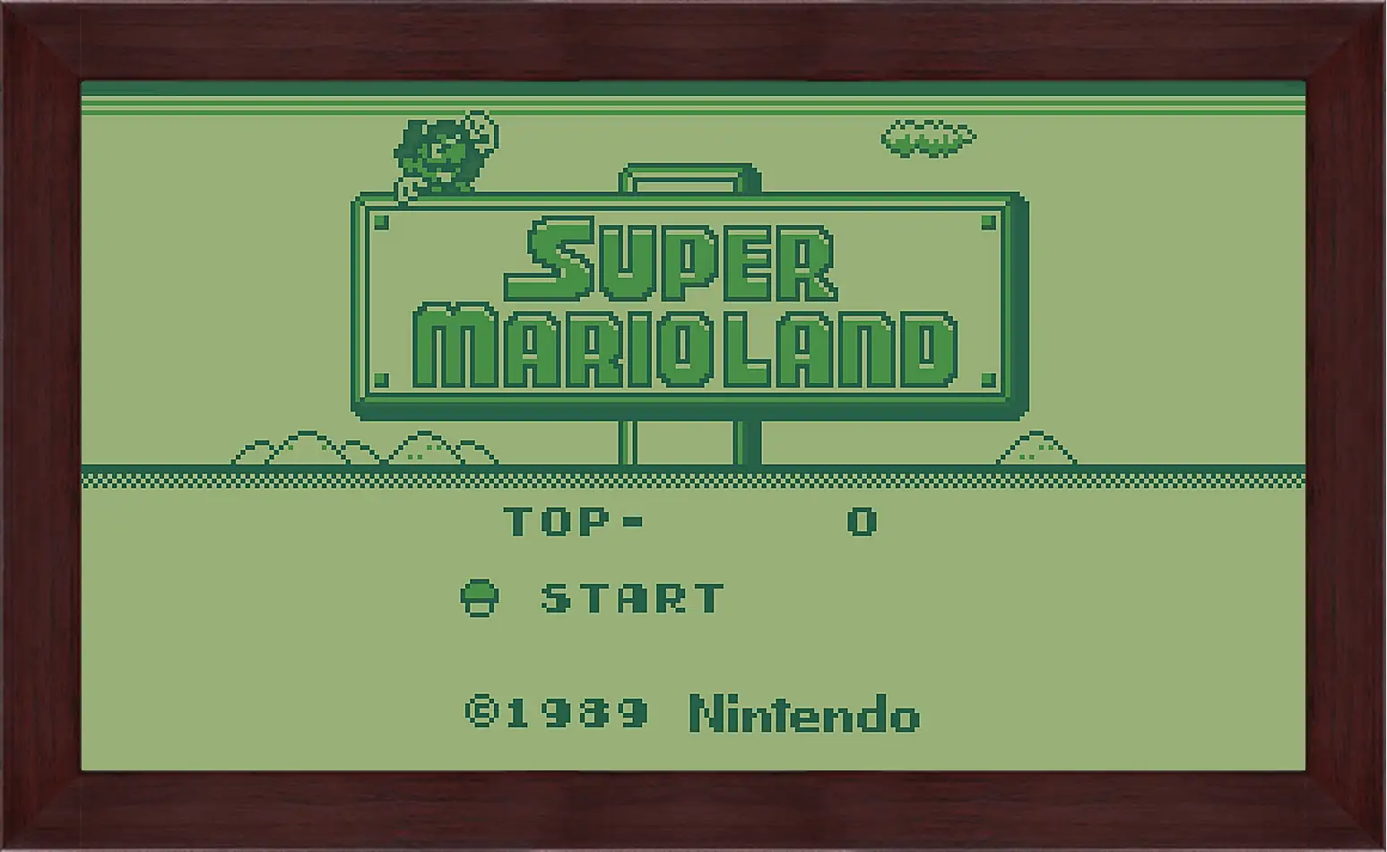 Картина в раме - Super Mario Land
