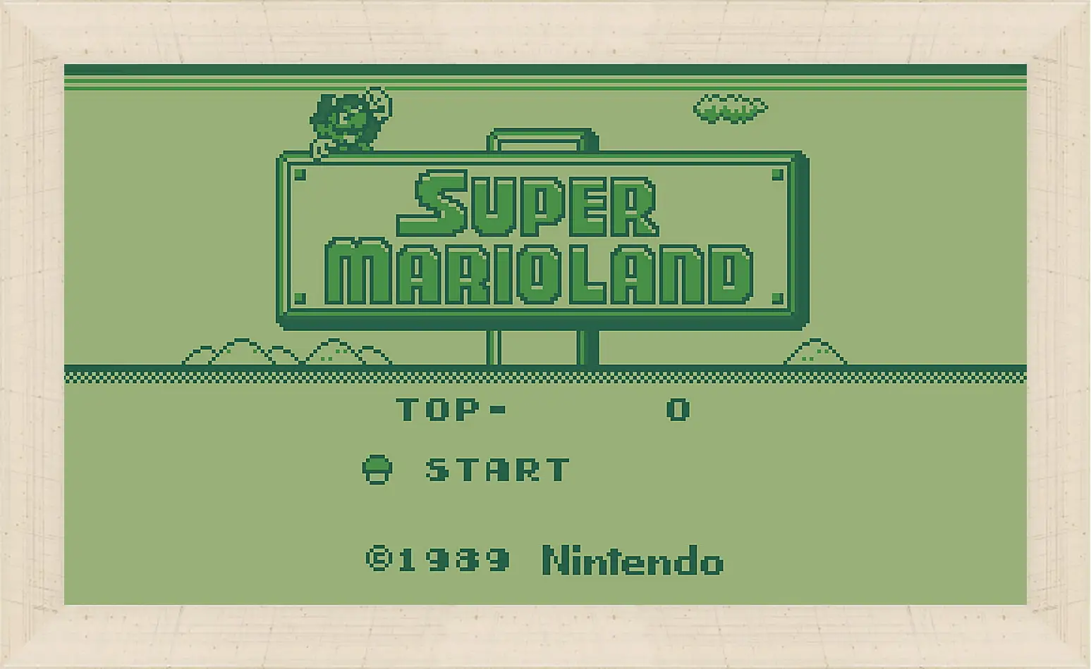 Картина в раме - Super Mario Land
