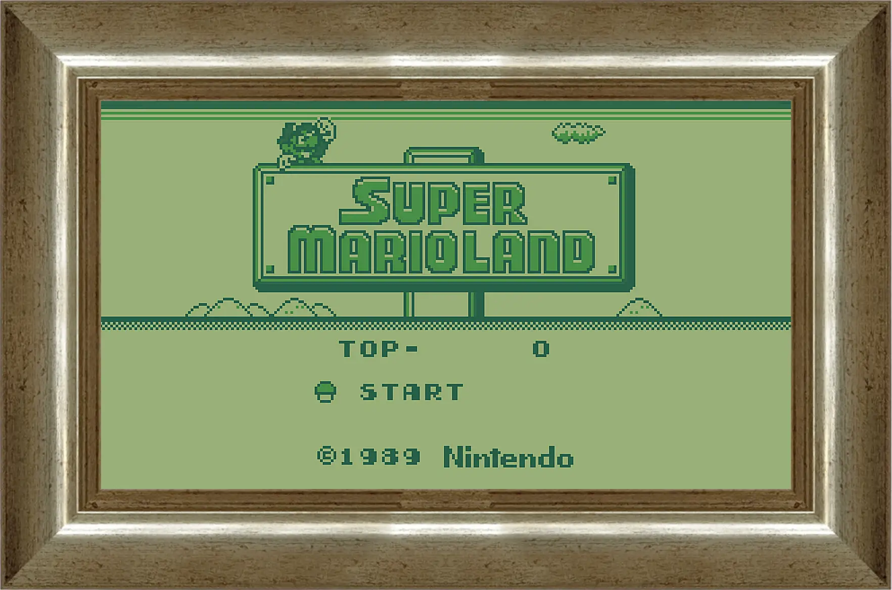 Картина в раме - Super Mario Land
