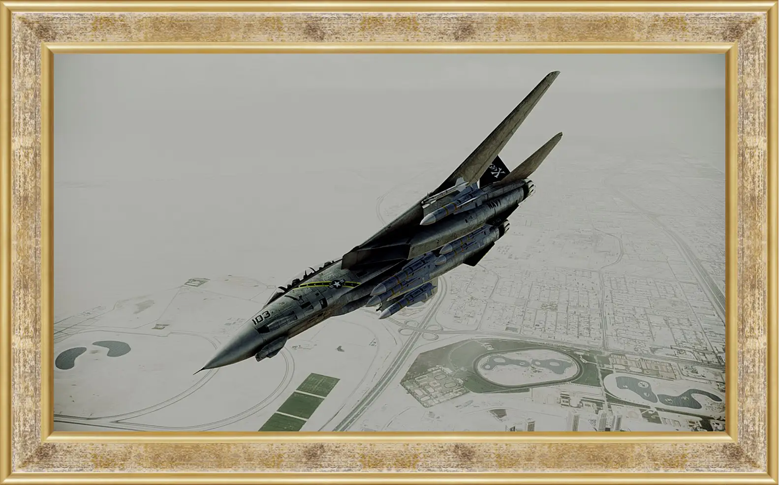 Картина в раме - Ace Combat: Assault Horizon
