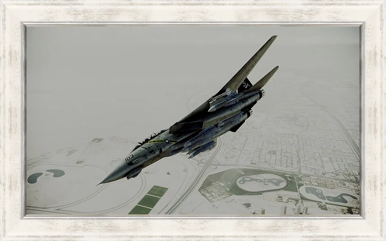 Картина в раме - Ace Combat: Assault Horizon
