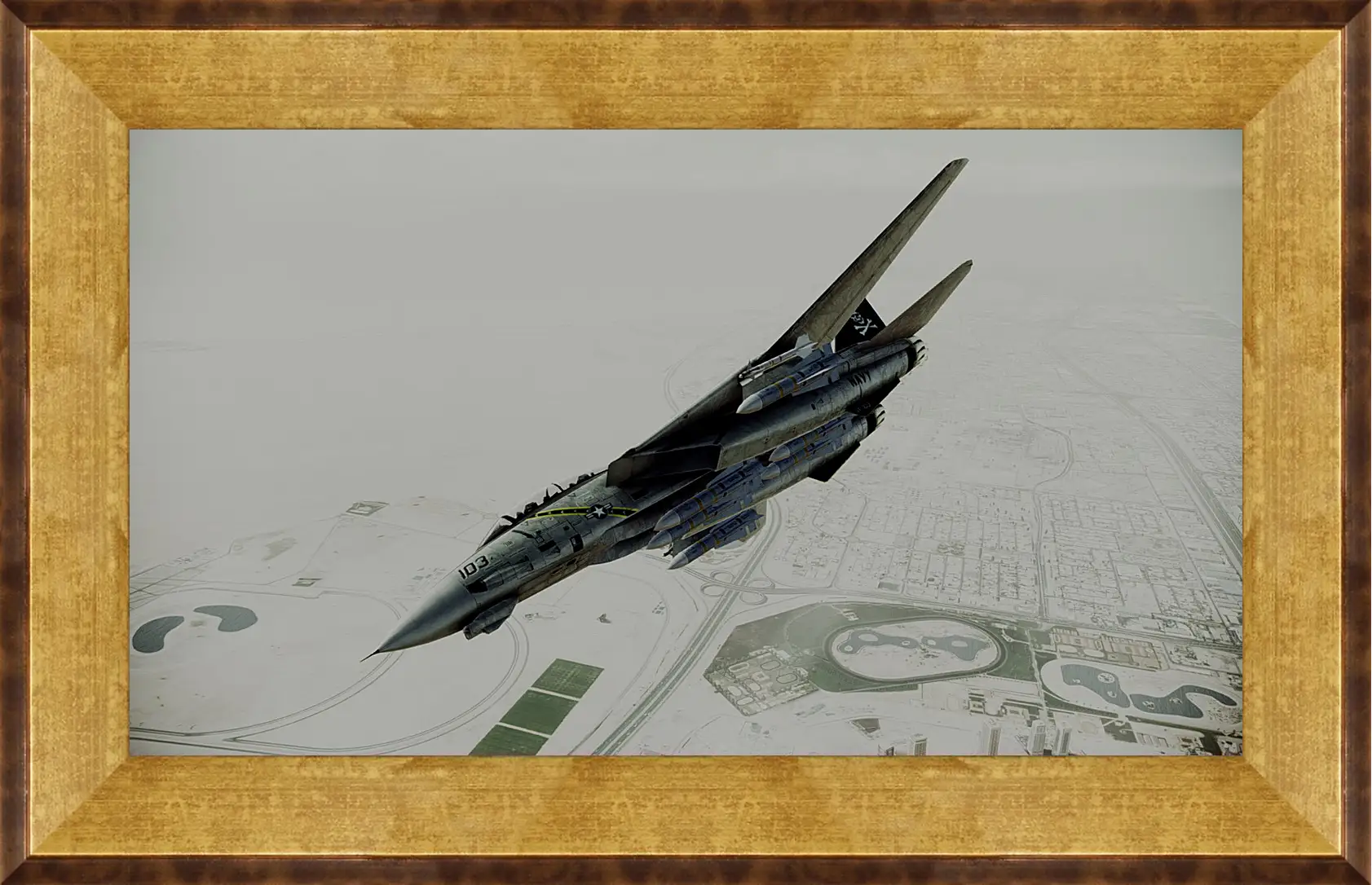 Картина в раме - Ace Combat: Assault Horizon
