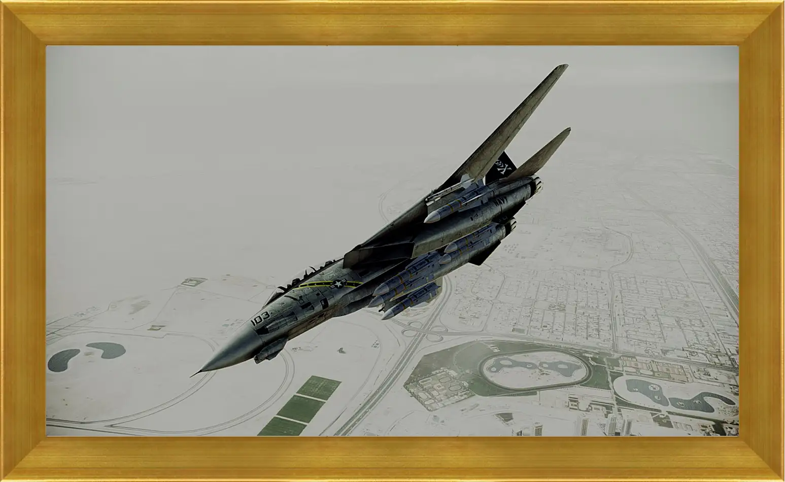 Картина в раме - Ace Combat: Assault Horizon
