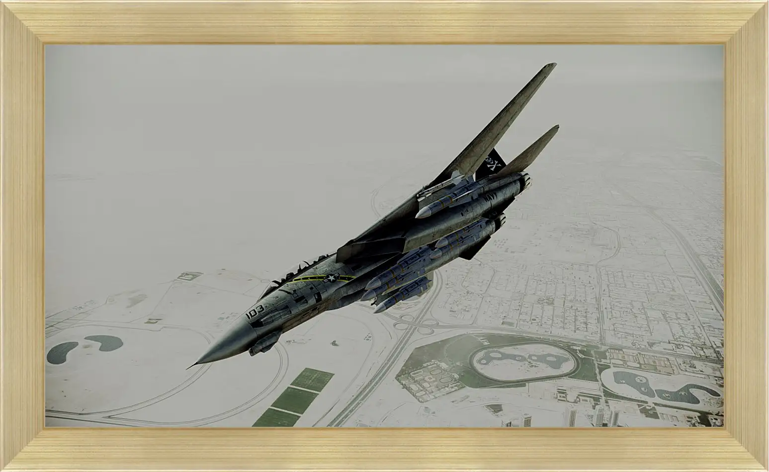 Картина в раме - Ace Combat: Assault Horizon
