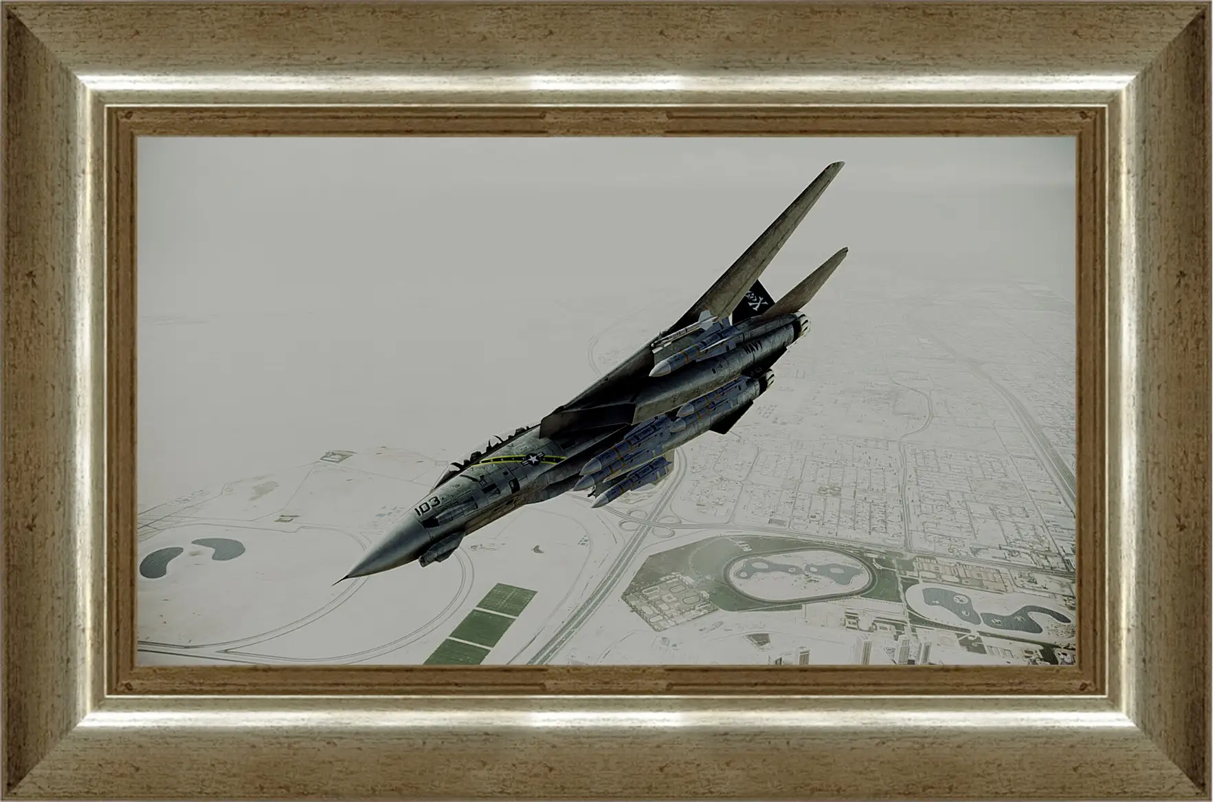 Картина в раме - Ace Combat: Assault Horizon
