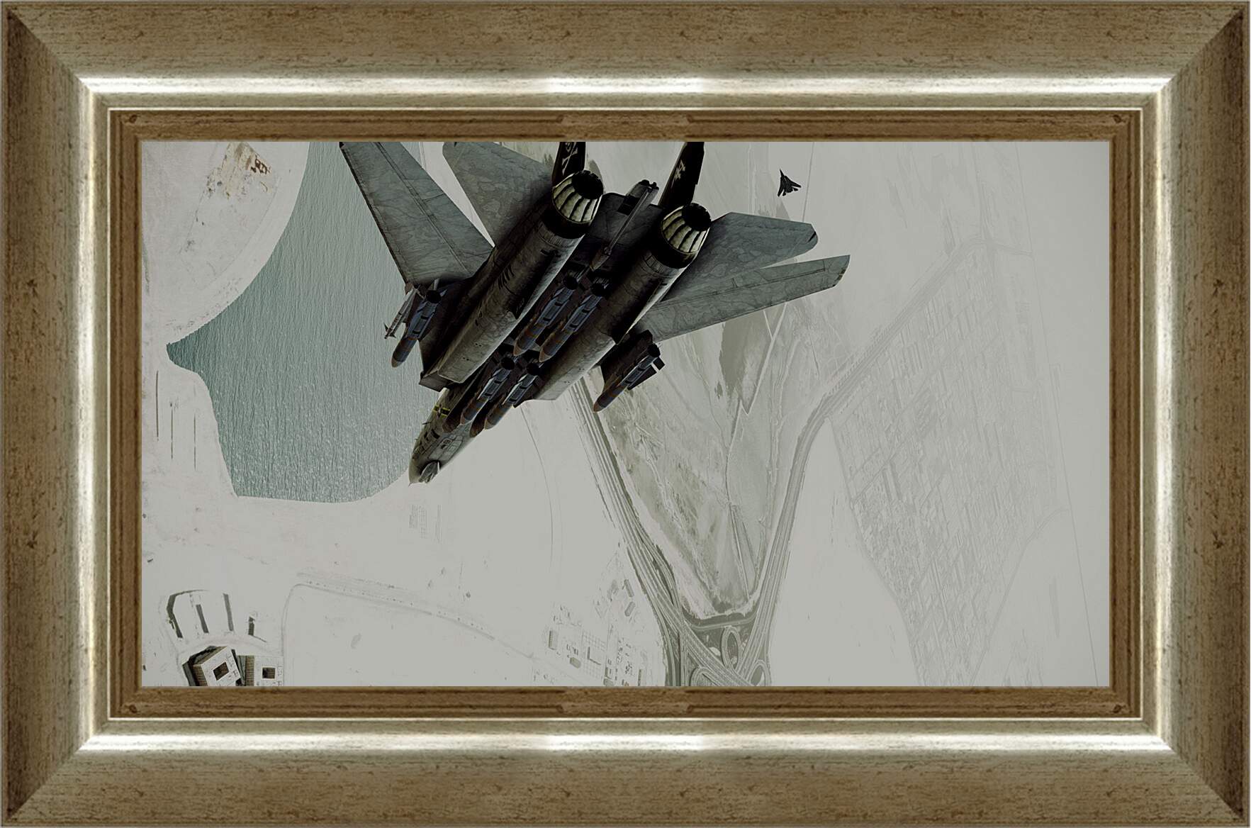 Картина в раме - Ace Combat: Assault Horizon
