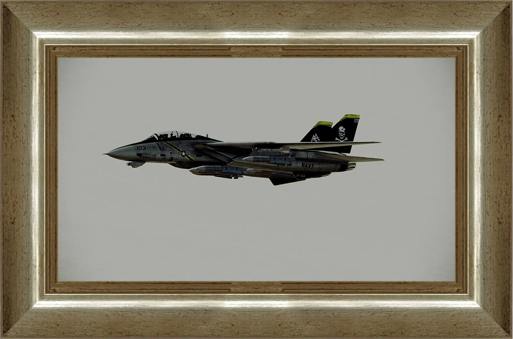 Картина в раме - Ace Combat: Assault Horizon
