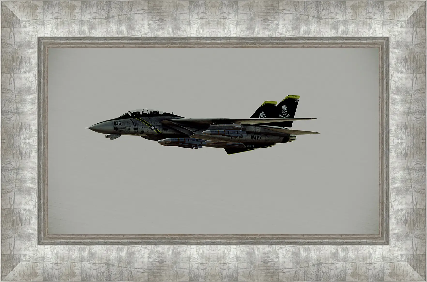 Картина в раме - Ace Combat: Assault Horizon
