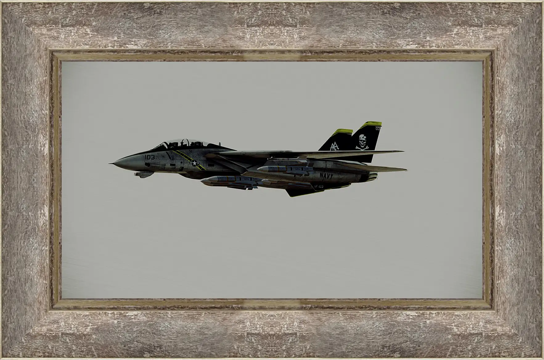 Картина в раме - Ace Combat: Assault Horizon

