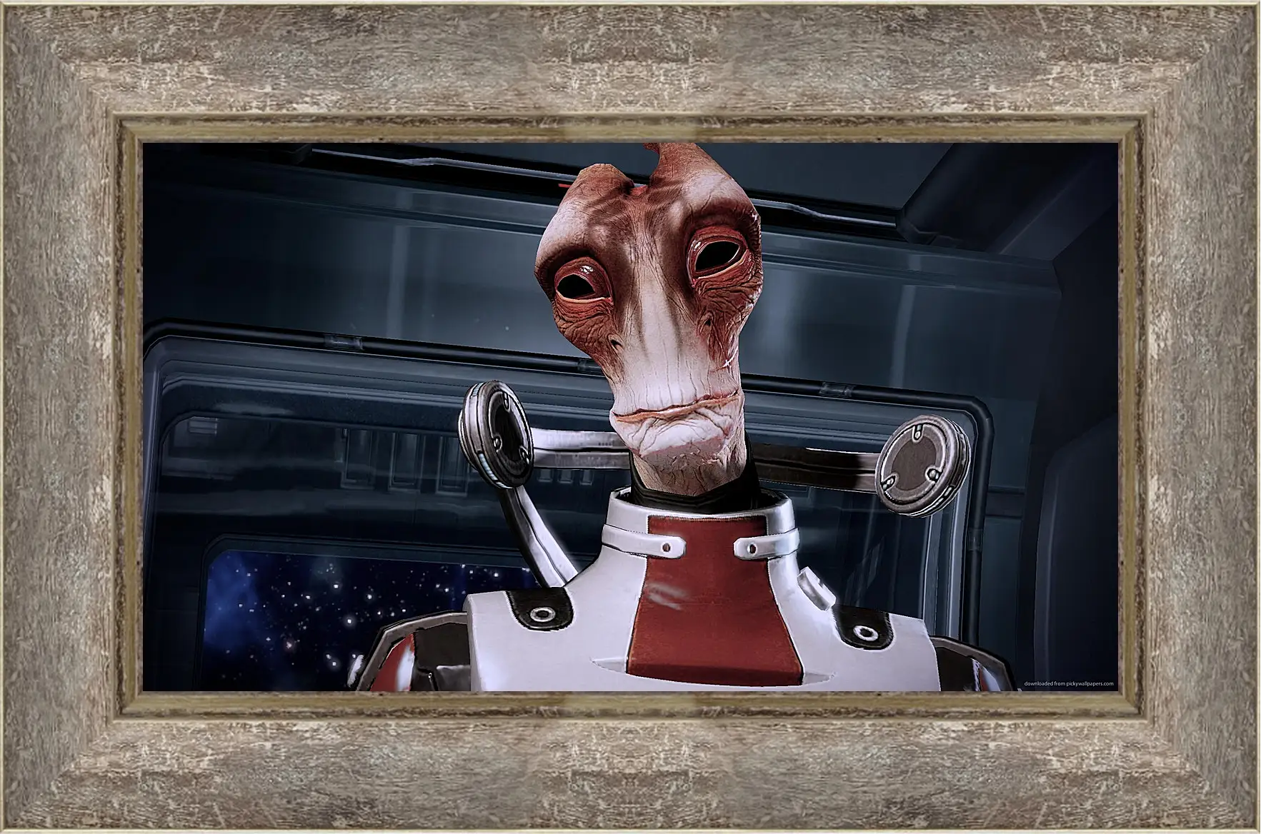 Картина в раме - Mass Effect 2