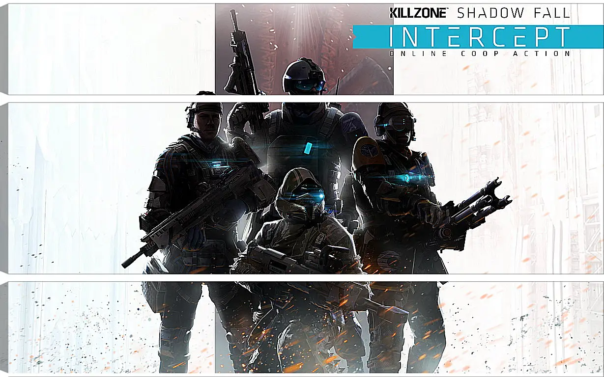 Модульная картина - Killzone: Shadow Fall
