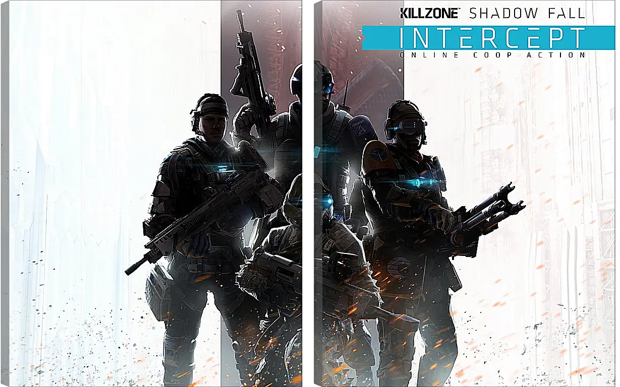 Модульная картина - Killzone: Shadow Fall
