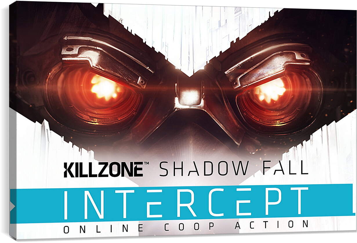 Постер и плакат - Killzone: Shadow Fall
