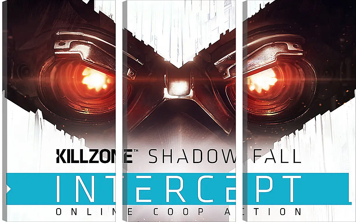 Модульная картина - Killzone: Shadow Fall
