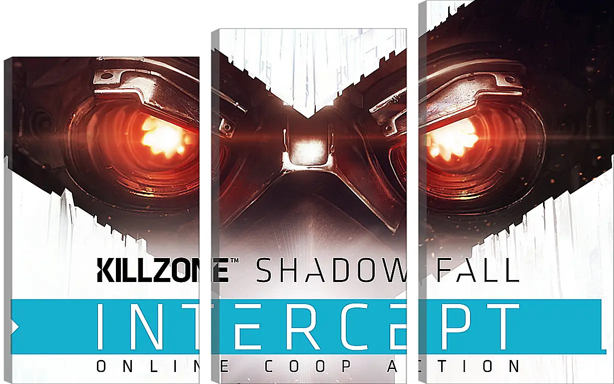 Модульная картина - Killzone: Shadow Fall
