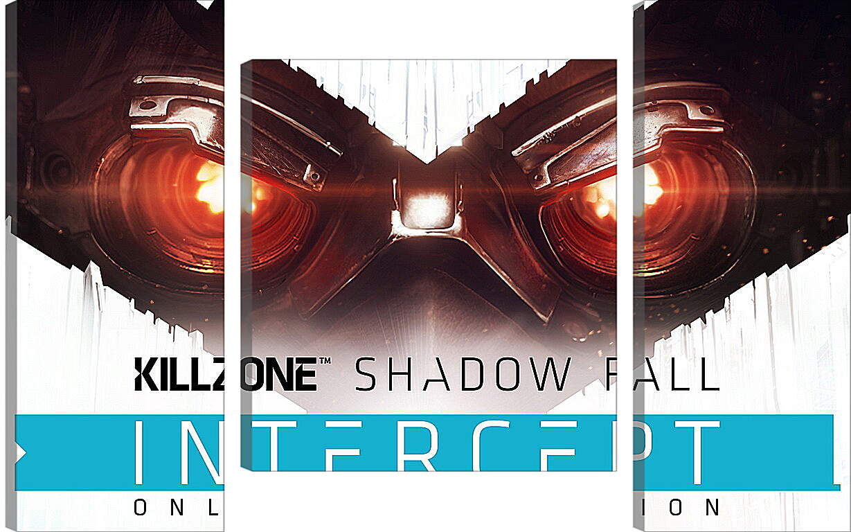 Модульная картина - Killzone: Shadow Fall
